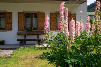 Il giardino | La Gerla