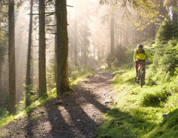 Mountain Bike Ciclabile delle Dolomiti Cadore